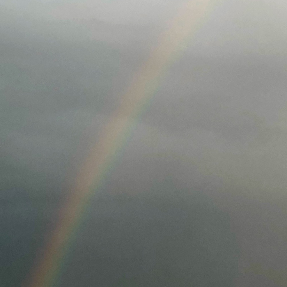 Meet your Posher, Luna